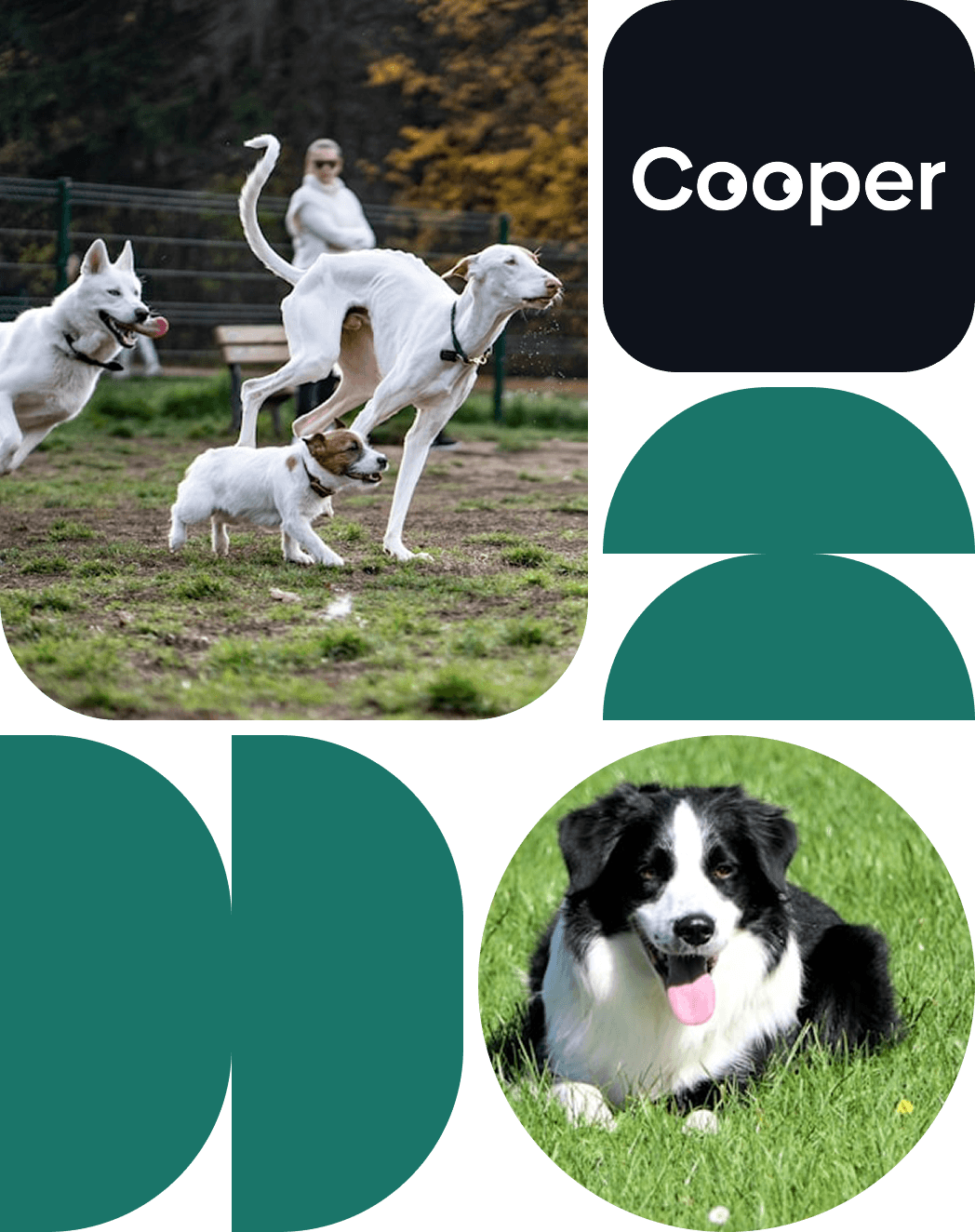 Entrenamiento intensivo