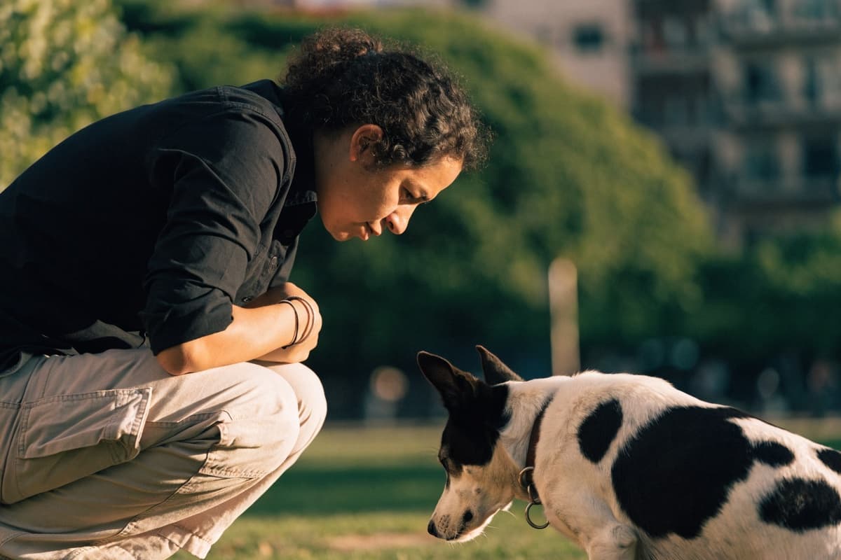 ¿Necesito un etólogo o un adiestrador para mi perro?