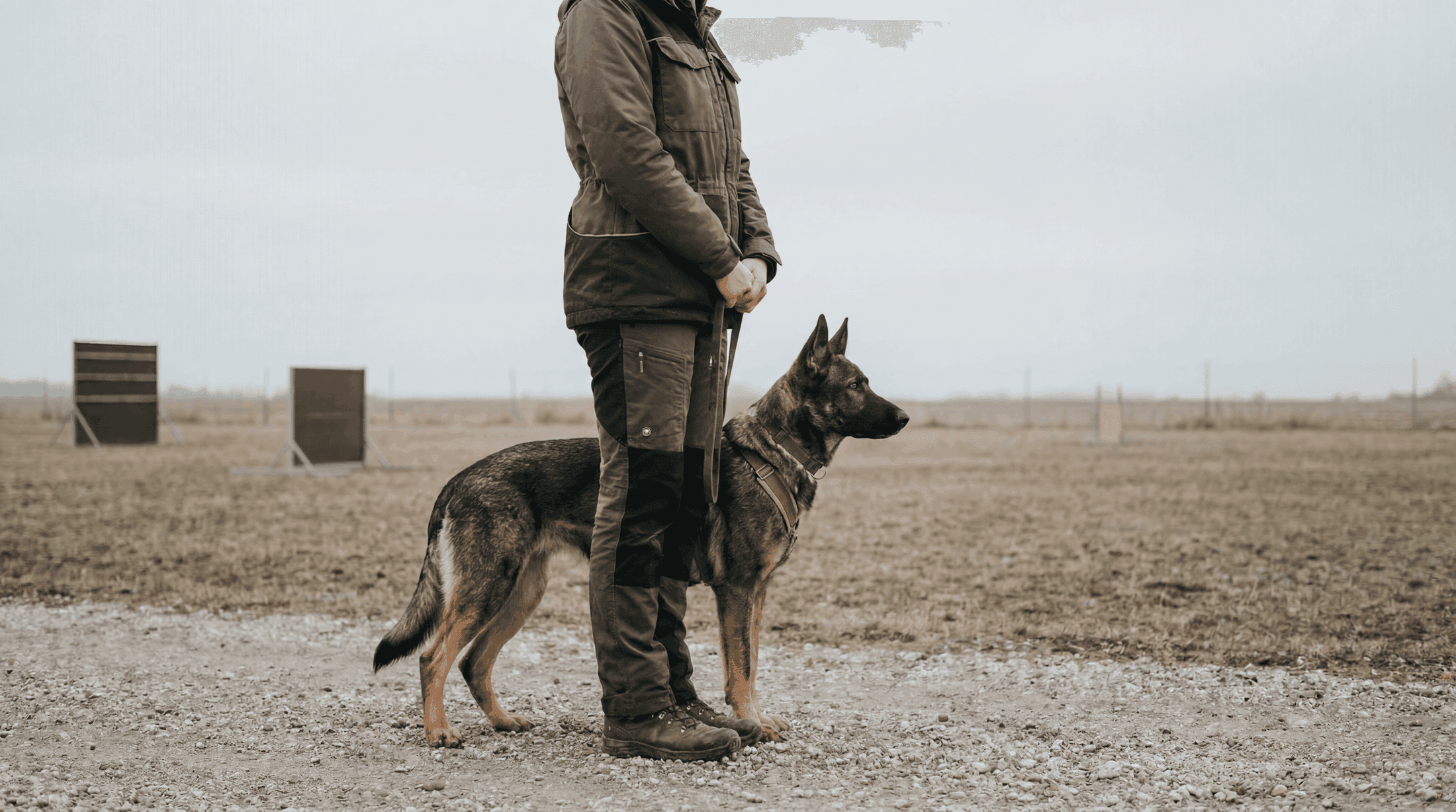 A certified Cooper dog trainer working with a dog