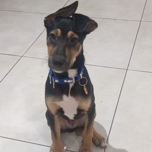 Foto de Bingo